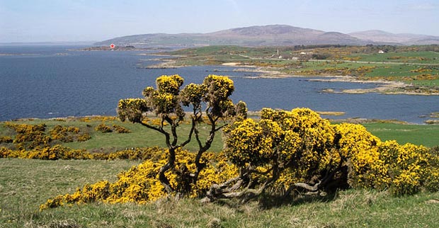 View from the cairn on Barn Heugh along the coast from Kirkandrews towards Carrick Shore