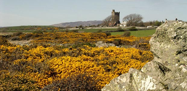 View of the coo palace near Kirkandrews
