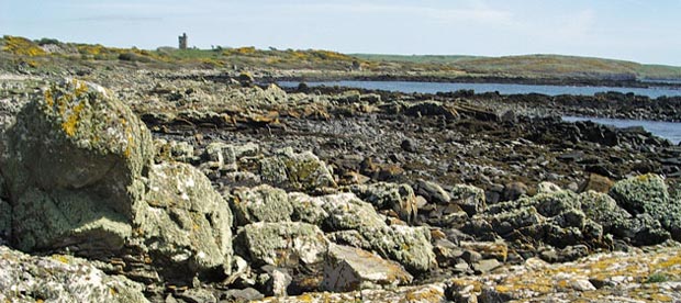 Looking back along the shore towards the coo palace