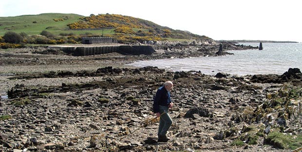 View back along the beach towards the jetty at Knockbrex with Bar Hill beyond