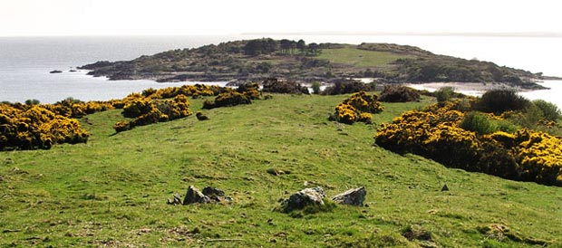 View towards Ardwall Isle from the viewpoint on Knockbrex Hill