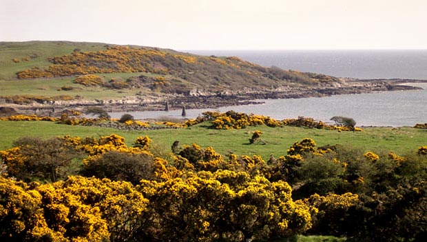 Heading back towards the jetty at Knockbrex with Bar hill beyond it