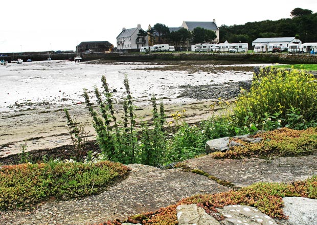 View from beside the village hall towards Garlieston harbour