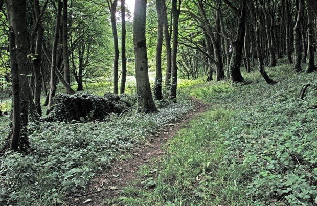 Past the wartime remains and heading through the woods for Innerwell Fishery