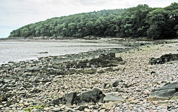 View of the bay at Innerwell Fishery