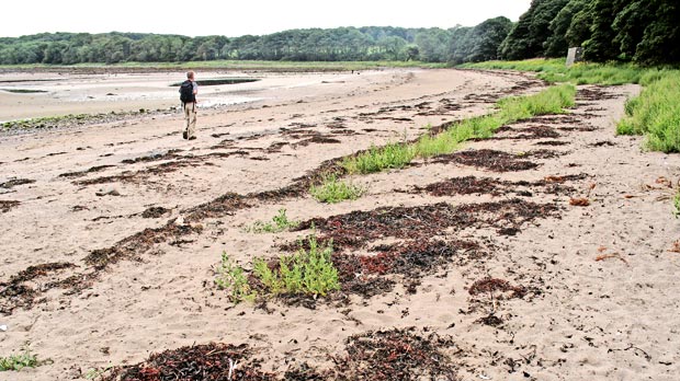 Heading south along the shore at Rigg Bay