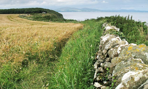 Looking back over the route we have come as we approach Cruggleton Castle