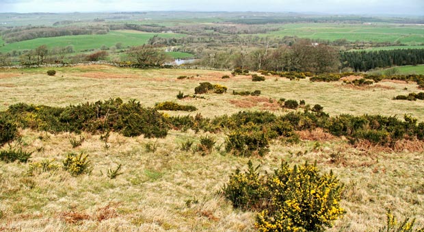 View looking north west from Fell of Barhullion