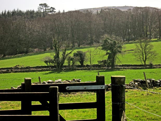 View Back to Barhullion from the gate at Drumtroddan