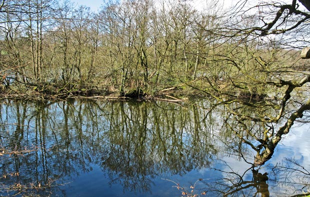 View of the crannog on White Loch of Myrton.