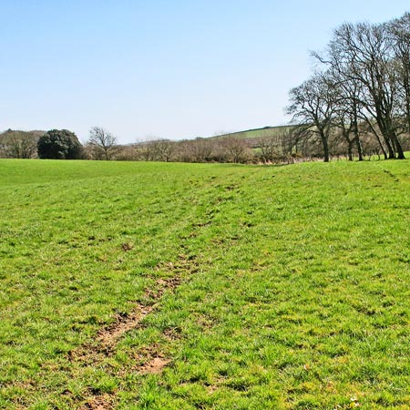 Heading across the field to towards Blairbuie Bridge.