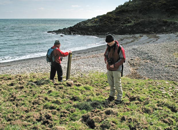 Way-marker at Portankill Beach, Mull of Galloway