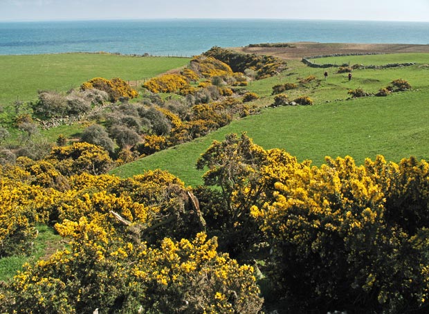 View back down the Kirk Burn towards Portankill Bay