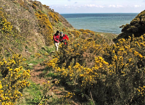 Coming up the Kirk Burn from Portankill Beach