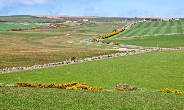 Looking northward along the road that runs to the Mull of Galloway