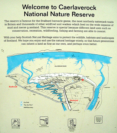 Map of Caerlaverock National Nature Reserve
