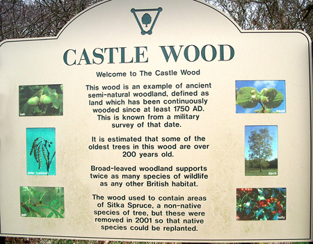 Informationm board about Castle Wood