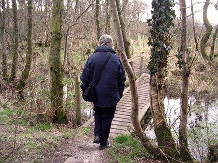 Sparse winter bleakness in Castle Wood