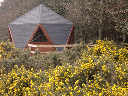 Pentagonal shaped hide in Castle Wood Caerlaverock