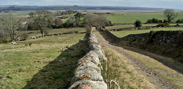 Looking back towards Ardwall from the vehicle track near the start of the route onto Criffel from Ardwall