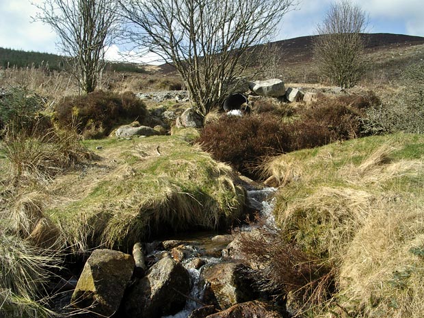 View up Craigrockall Burn towards Knockendoch