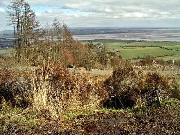 Vew from ascent of Criffel from Ardwall looking eastward towards the Nith Estuary and Caerlaverock