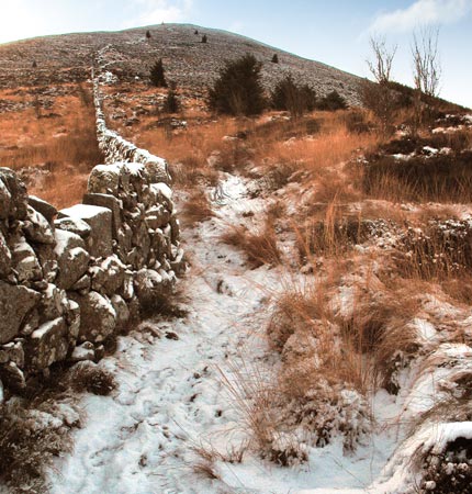 View of the route ahed onto the top of Knockendoch