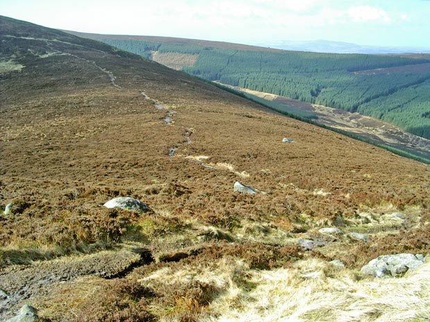 View of the saddle between Knockendoch and Criffel