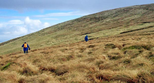 Climbing Criffel from the saddle between it and Knockendoch