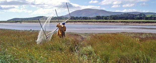Haaf net fisherman at Kelton with Criffel and Knockendoch in the background