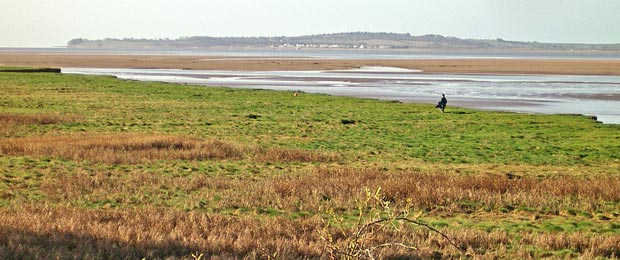 View of the merse near Castle Corner at Caerlaverock with Carsethorn and Southerness in the distance