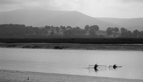 Haff Netting with Criffel in the background