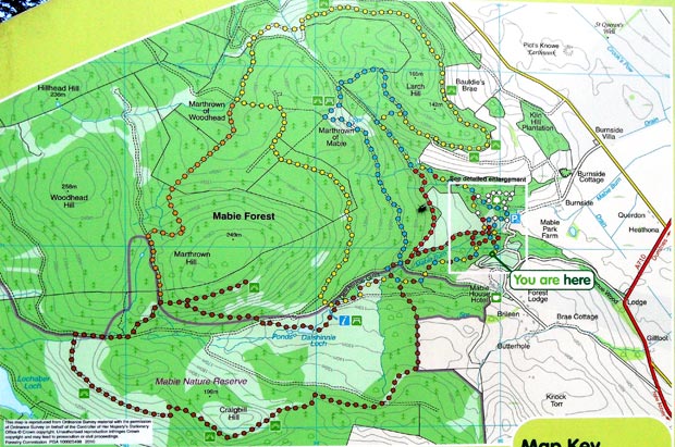 Map of walking routes in Mabie Forest