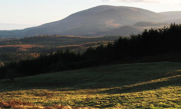 View of Criffel from Mabie Forest as evening approaches