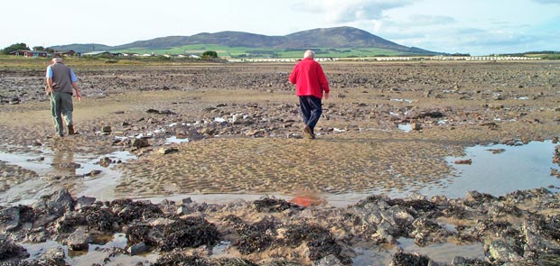 View of Criffel on way back to Powillimount from Southerness