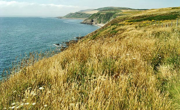 View back towards St Ninian's cave from the cliff top walk