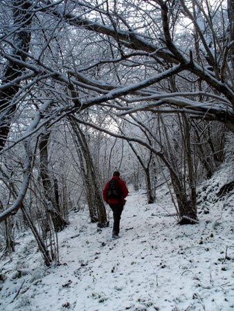 View of the path down the east side of the Almorness Peninsula.