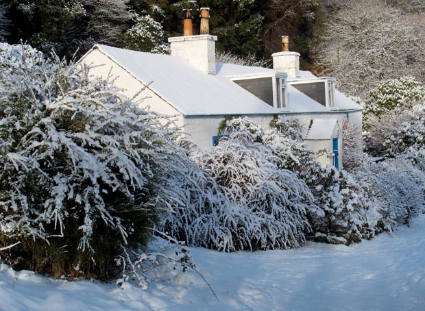 Cottage at Cocklehaen