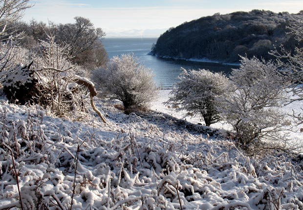 Bay near Almorness house