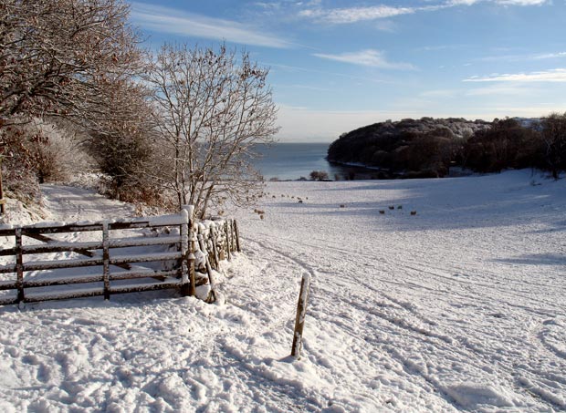 View of Bay near Almorness house