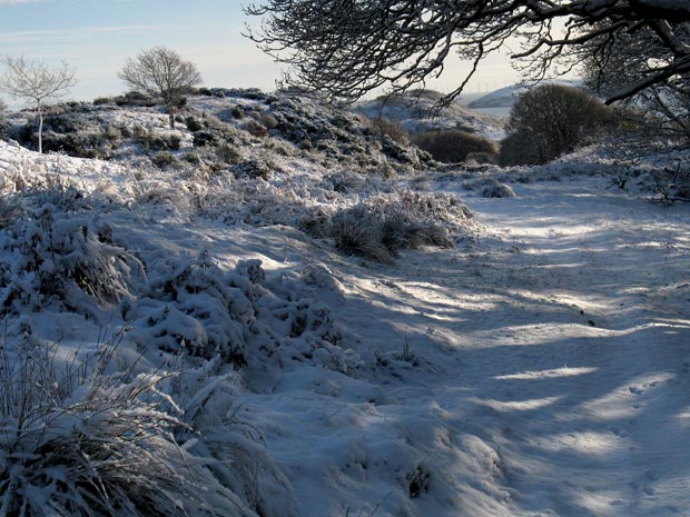 View of the track heading south on the west side of Almorness Peninsula