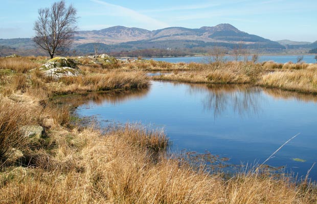 View of a lochan on the way to Almorness Point