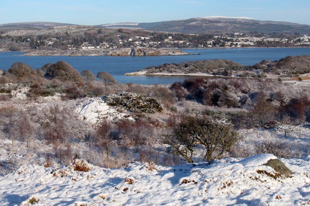 TView across  Rough Firth to Rough Island and Rockcliffe