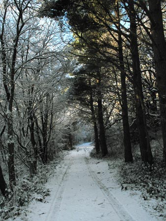 Vehicle track back from Almorness house to Palnackie