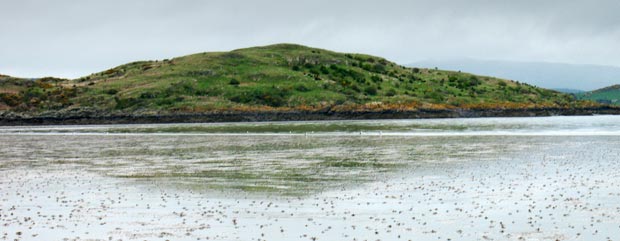 The Moyl hill on Almorness from Auchencairn Bay.