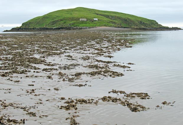 View of Hestan Island from the causeway to it.