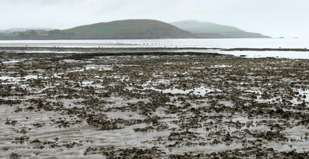View of Barcloy Hill and White Hill from the causeway to Hestan Island.