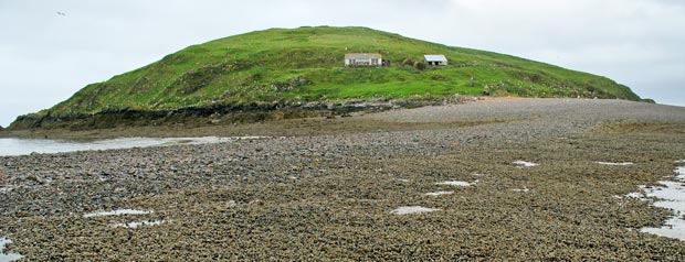 Approaching Hestan Island from the causeway.