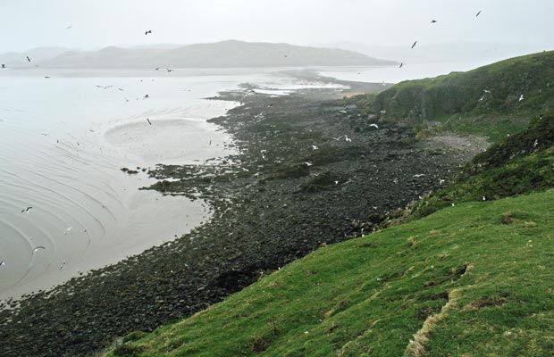 View looking northwards up the west shore of Hestan Island.