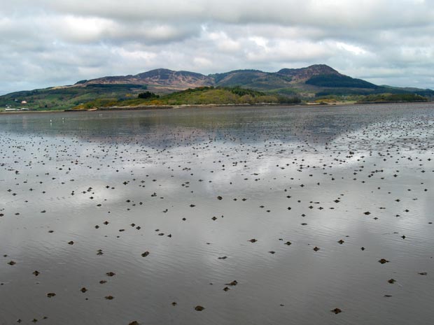 View of Screel and Bengairn from Auchencairn Bay.